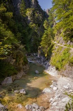 Canyon River and Forest Path Stock Photos