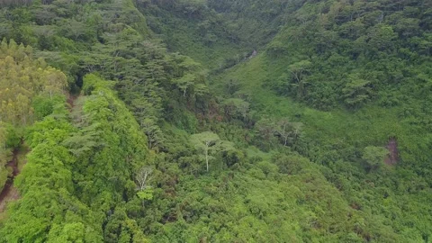 Canyon with the river Stock Footage 147937464