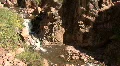 Canyon River In The Jemez Mountains HD Footage