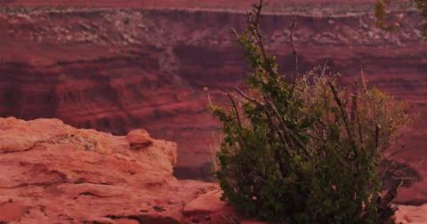 Canyon Scenery Tilt Stock Footage 44234659