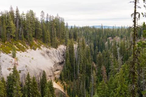Canyon surrounded by a pine forest next to Annie Falls near Crater Lake Stock Photos