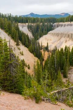 Canyon surrounded by a pine forest next to Annie Falls near Crater Lake Stock Photos