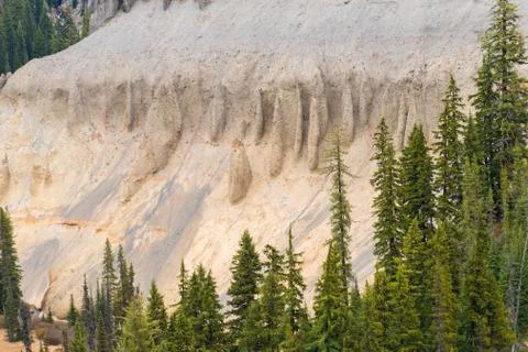 Canyon surrounded by a pine forest next to Annie Falls near Crater Lake Stock Photos