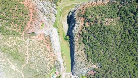 Canyon, Trees  and River 動画素材 247954447