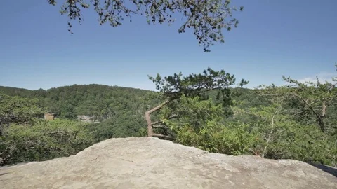 Canyon Valley Ledge Tracking Shot Fall Creek Falls Video stock 78018647