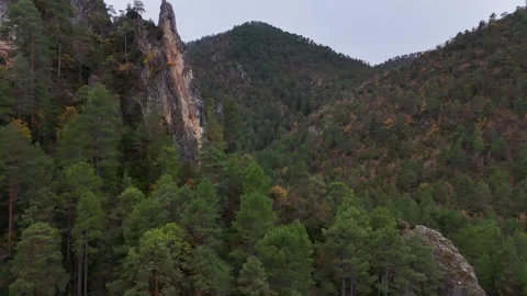 Canyon Valley with Rock Formations Forest Alto Tajo Natural Park Spain Vidéo 337501571