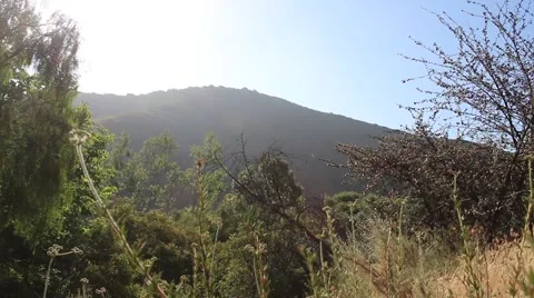 Canyon View Stock Footage 49455681