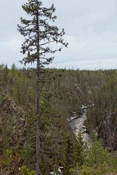 Canyon view. Stock Photos