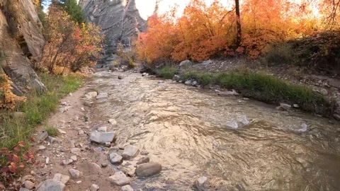 The Canyon Walls begin in the Upper Narrows of Zion, Top-Down Trail, Zion Stock Footage 278194211