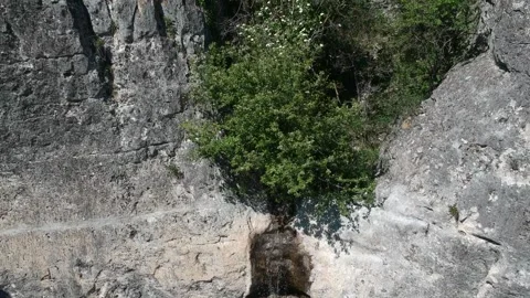 Canyon Waterfall Video stock 139393343