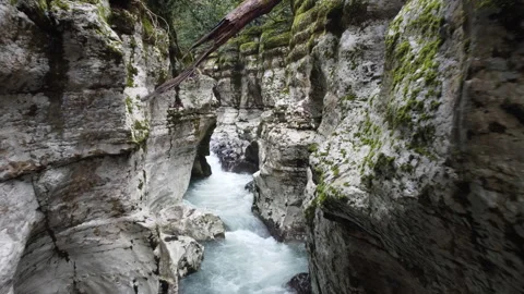 Canyon White rocks deep river gorge Stock Footage 246630240