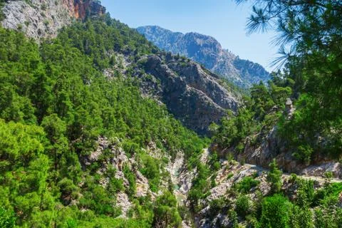 The canyon yolu Stock Photos