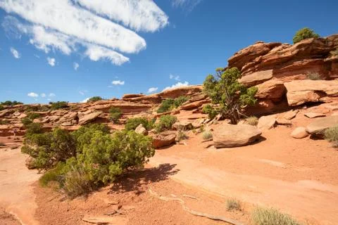 Canyonlands Stock Photos