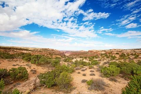 Canyonlands 스톡 사진