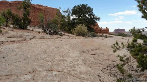 Canyonlands Walk Stock Footage 93325505