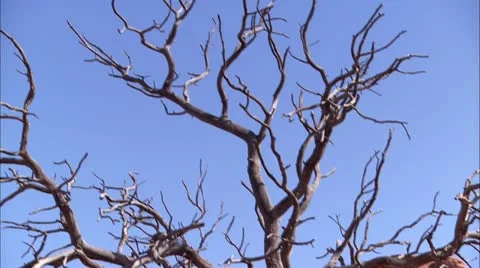 Canyonlands29 Stock Footage 22636429