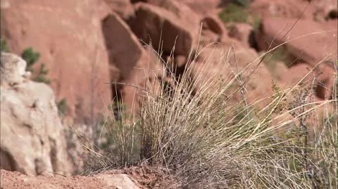 Canyonlands48 Video stock 22636813