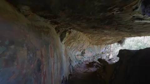 Canyon's hidden grotto opens into sunlit ferns and stone Stock Footage 345261917