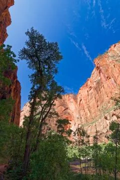 Canyons in the State of Utah Stock Photos