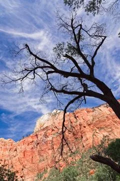 Canyons in the State of Utah Stock Photos