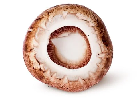 Cap on a brown champignon Stock Photos