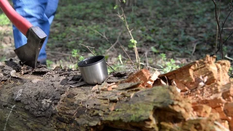 Cap of coffe in forest Stock-Footage 89492729