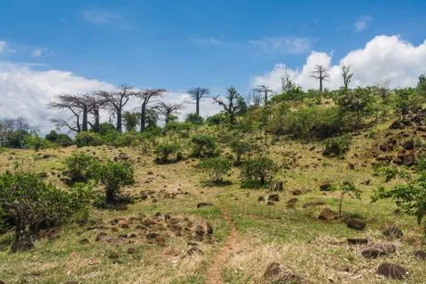 Cap diego Stock Photos