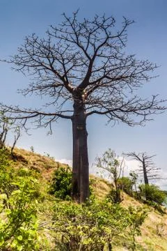Cap diego Stock Photos