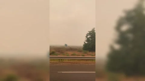 Cap Ferret fires force 40,000 to evacuate, CAP FERRET, FR - 24 Jul 2026 Vidéo 340428972