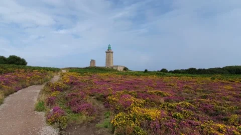 Cap frehel with heather field during a sunny day Stock Footage 159003376