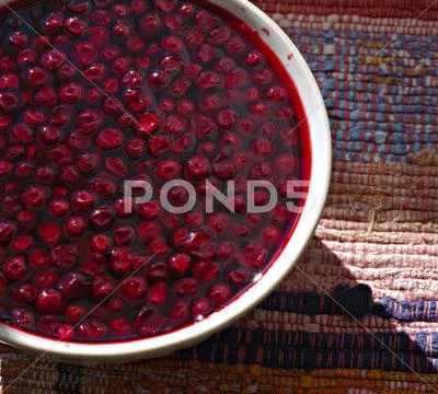 Cap of soaked red whortleberry Stock Photos