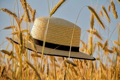 Cap straw hat summer grain spike Stock Photos