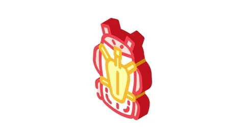 Capacity hiking backpack isometric icon animation Stock Footage 327277983