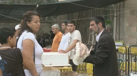 Caparot16 Stockbeeldmateriaal 10723520