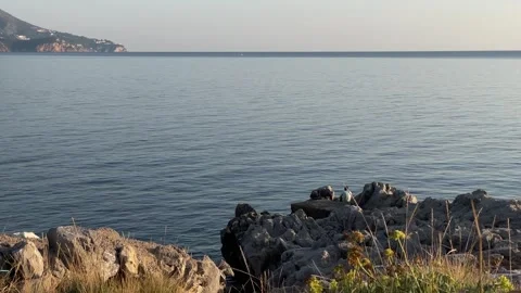 Cape and sea Stock Footage 289627148