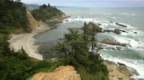 Cape Arago State Park-Big Web Stock Footage