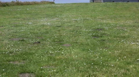 Cape Blanco Lighthouse 2-Big Web 스톡 동영상 837326