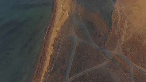 The Cape Chameleon In The Dawn Hours. Shot 14.God's view. Vídeo Stock 82913352