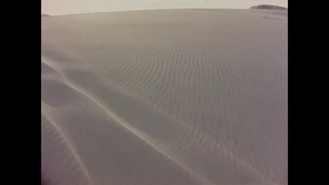 Cape Cod 1970s: Color footage of a coastal dune landscape. Features views of Stock Footage 331224715