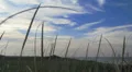 Cape Cod Beach 1 (2K) Web Footage