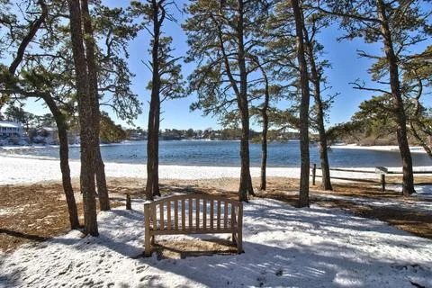 Cape Cod Bucks Pond Bench Stock Photos