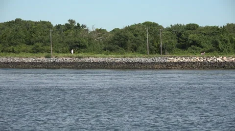 Cape Cod Canal Tugboat Stock Footage 41660181