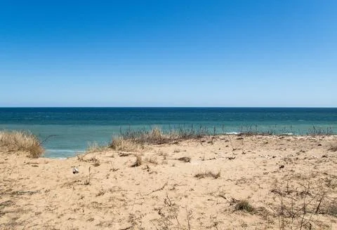 Cape-cod-dune-05 Stock Photos