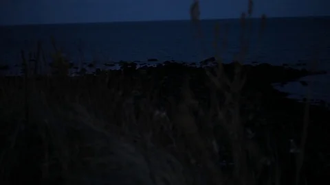 Cape Cod Stock Footage 73745978