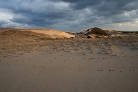 Cape cod footprints in sand dunes national seashore provincetown Stock Photos