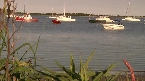 Cape Cod Harbor 3 Stock Footage 8560231