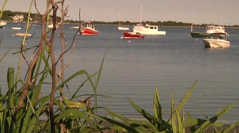 Cape Cod Harbor 4 Stock Footage 8561389