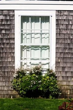 Cape Cod home, white shuttered windows with flowers filled window boxes Stock Photos