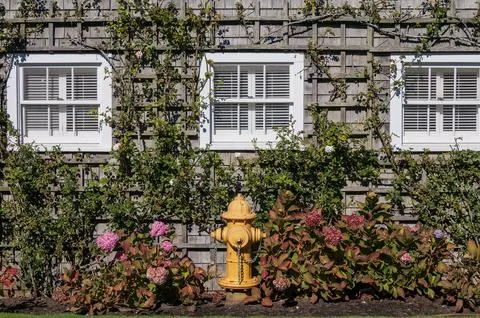Cape Cod home, white shuttered windows with flowers filled window boxes Stock Photos
