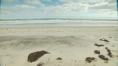 Cape Cod, MA Stock Footage 123911494